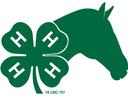 Green four-leaf clover with an "H" on each leaf beside a horse head silhouette; text "18 USC 707"