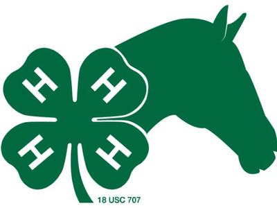 Green four-leaf clover with an "H" on each leaf beside a horse head silhouette; text "18 USC 707"