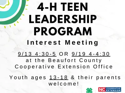 4-H Teen Leadership Program Image 