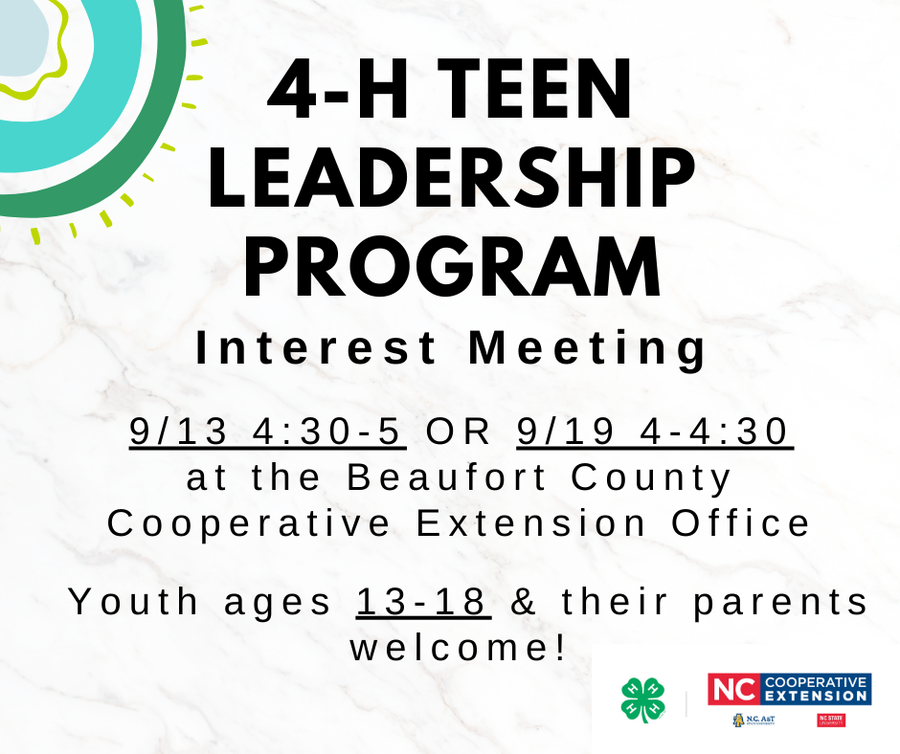 4-H Teen Leadership Program Image 