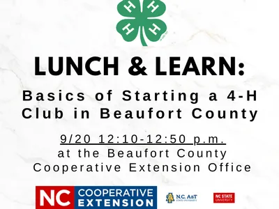 Lunch & Learn Image 
