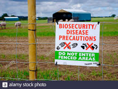 Biosecurity