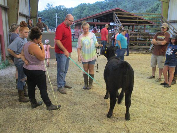 Brent Jennings Showing Showmanship Skills