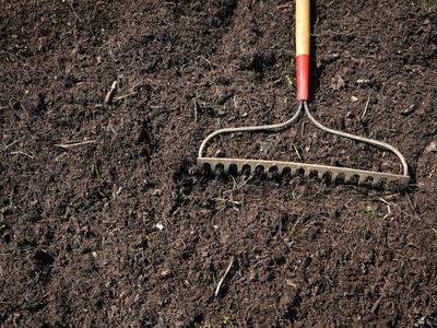 Freshly weeded section of garden at the Agroecology Farm.