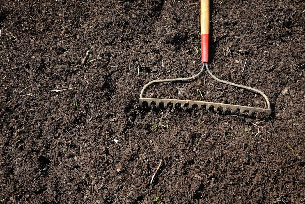 Freshly weeded section of garden at the Agroecology Farm.