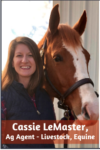 Cassie LeMaster Ag Agent