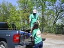 Two people load trees in the bed of a truck