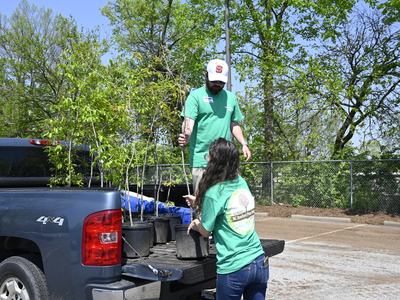 Two people load trees in the bed of a truck