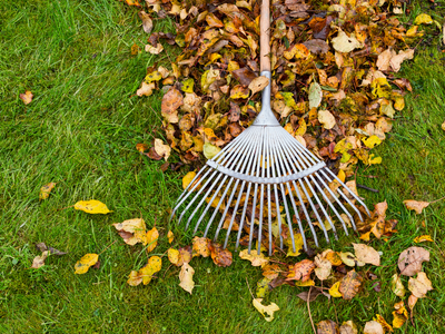 Fall Lawn Care, Caring For Your Lawn, Soil Testing Kits, Free Soil Testing, Soil Testing Kits, NC Soil, NC Agriculture,