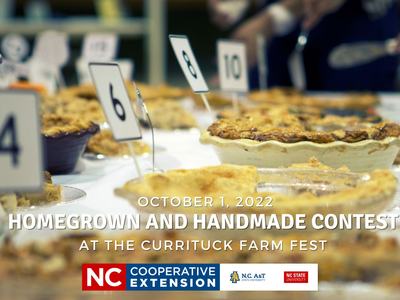 Homegrown and handmade entries