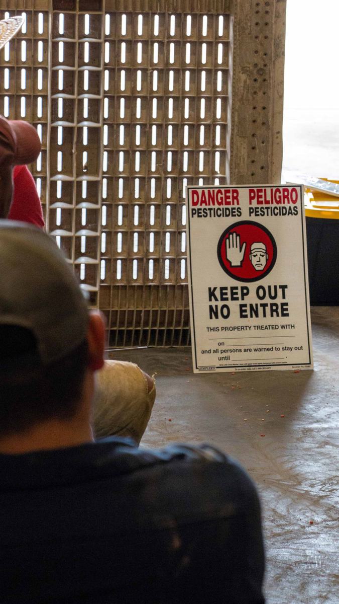 NC State Extension’s Farmworker Health and Safety Education Program provides educational opportunities and resources that benefit workers, including migrants on H-2A visas, and the farms that employ them.