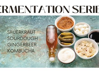 Fermented products that will be discussed in class.
