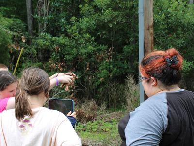 Children using ipads to take a roll
