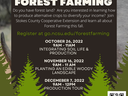 Forest Farming workshop series poster — Oct 26, Nov 16, Dec 7 2022