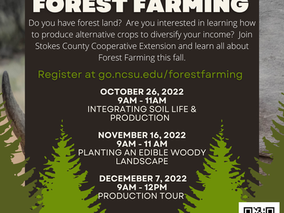 Forest Farming workshop series poster — Oct 26, Nov 16, Dec 7 2022