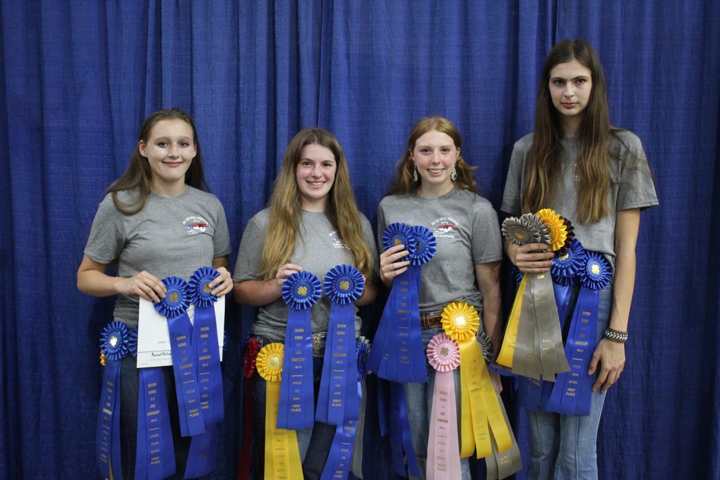Four teenage girls standing before a blue curtain holding multiple award ribbons (blue, yellow, pink, gray)