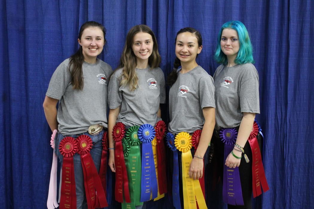 Four people in gray shirts wearing multiple colored award ribbons on belts in front of a blue curtain
