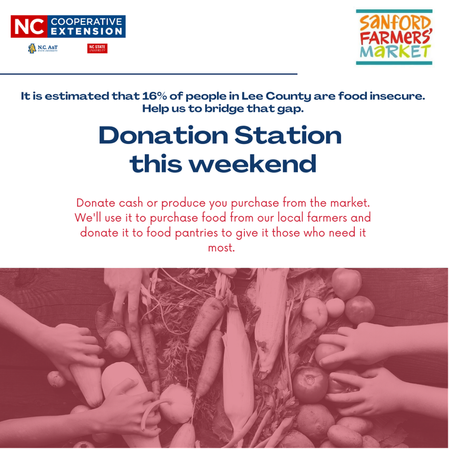 Hunger Action Month