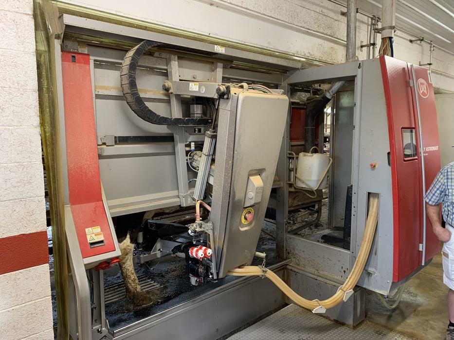 A robotic milker in a dairy.
