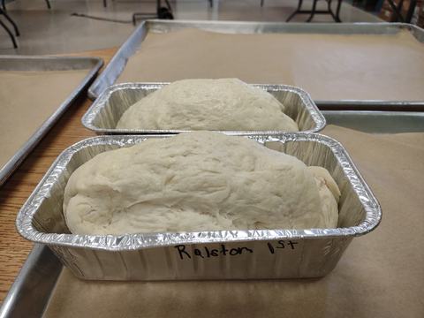 Unbaked bread dough rising in two foil loaf pans labeled "Ralston 1st"