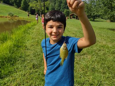 Child holding a fishing rod and small fish caught beside a grassy pond