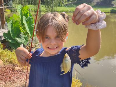 Child holding a fishing rod and a small sunfish by a pond