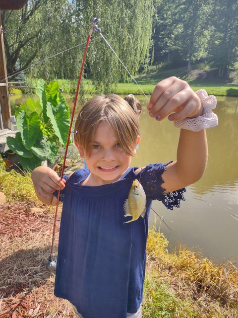 Child holding a fishing rod and a small sunfish by a pond