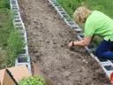 Person kneeling at a rectangular garden bed planting seedlings beside a cardboard box of plants