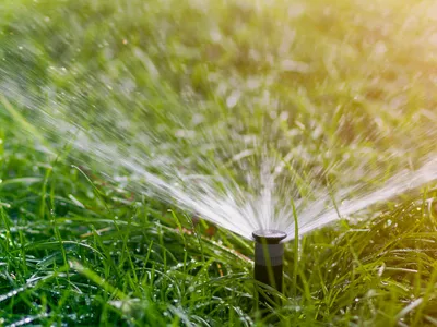 Lawn Irrigation, How to Irrigate Your Lawn, Irrigating Your Lawn, Lawn Irrigation