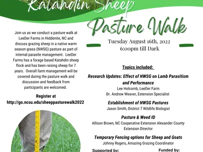 Katahdin Sheep Pasture Walk flyer showing sheep behind a fence and event details