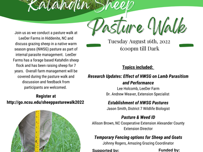 Katahdin Sheep Pasture Walk flyer showing sheep behind a fence and event details
