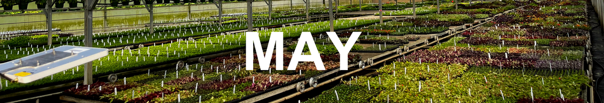 We Grow Union County, May Edition, What's Going on in Union County, Union County Events