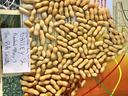 A sample of mature pods on a chart that denotes how to tell maturity levels in peanut.