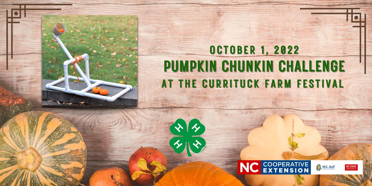 pumpkins and a pumkin launching device