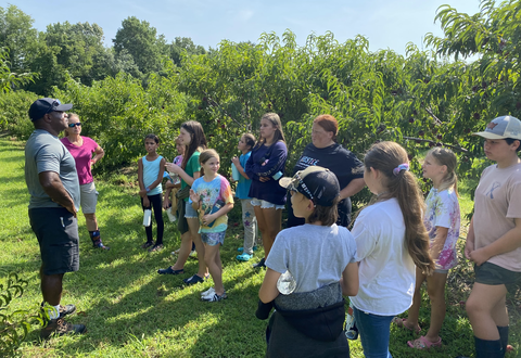 Screen Shot 2022-08-24 at 12.27.50 PM