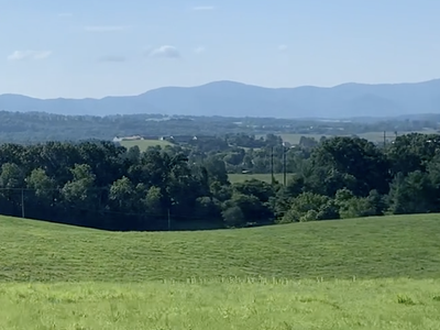 Rolling green fields with a tree line and distant blue mountains under a clear sky