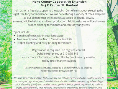 Tree Selection in the Sandhills flyer. 