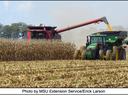 combine harvesting corn