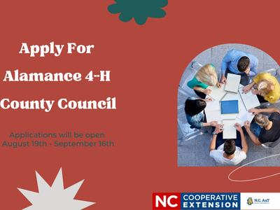 Young people working together at a table