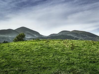 Grassy hill with a small tree in foreground and mountains under a cloudy sky
