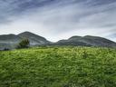 Grassy hill with a small tree in foreground and mountains under a cloudy sky