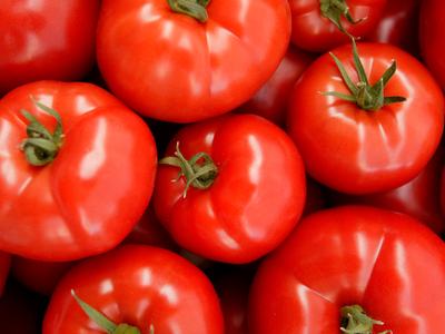 Close-up cluster of red tomatoes with green stems