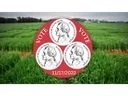 Red circular "VOTE" badge with three Jefferson-profile nickels and date 11/17/2022 over green field