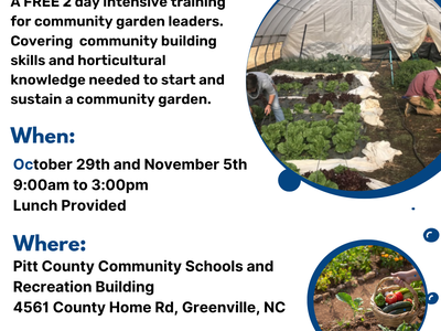 See information in text below