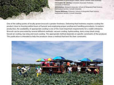 cover of new broccoli cooling bulletin