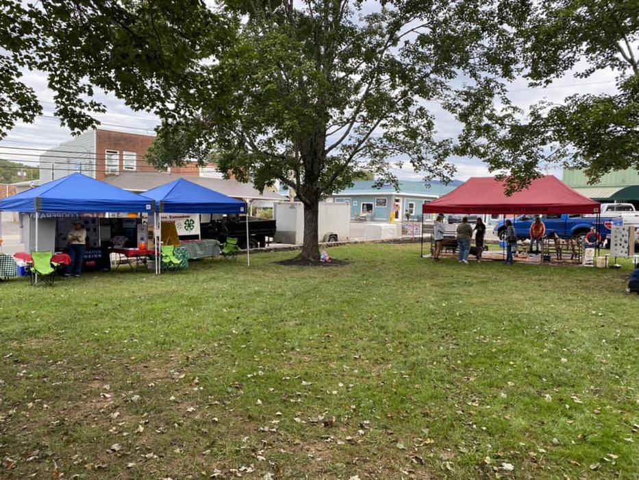 shade tent canopies set up for Ag Day