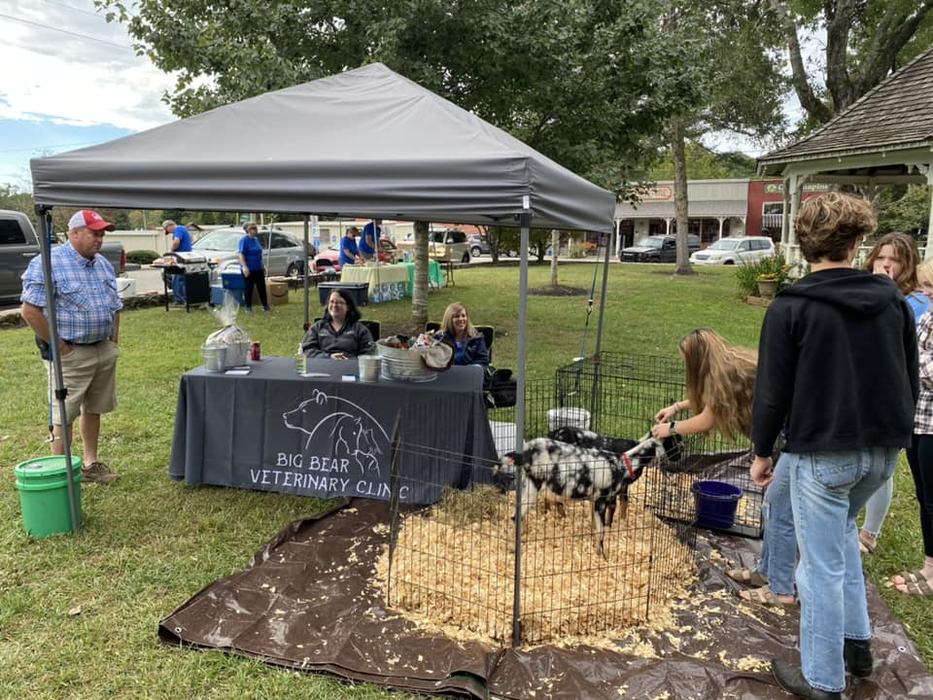 people petting goats in pen