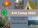 4-H Summer Camp