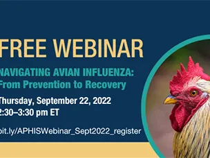 Flyer with rooster photo and Avian Influenza webinar information