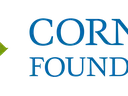 Four-petal logo (blue, yellow, green, magenta) left of text "CORNING FOUNDATION"